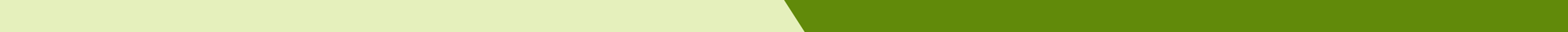 Learn_Academy_Behavioral_Services_LP_GFX_V1.2_Divider_Green