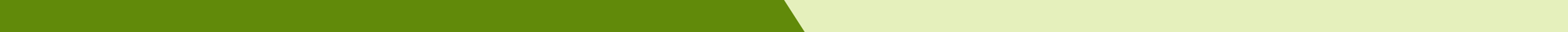 Learn_Academy_Behavioral_Services_LP_GFX_V1.2_Divider_Green2