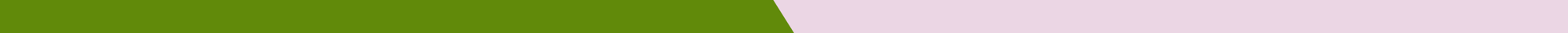Learn_Academy_Behavioral_Services_LP_GFX_V1.2_Divider_Purple2-1